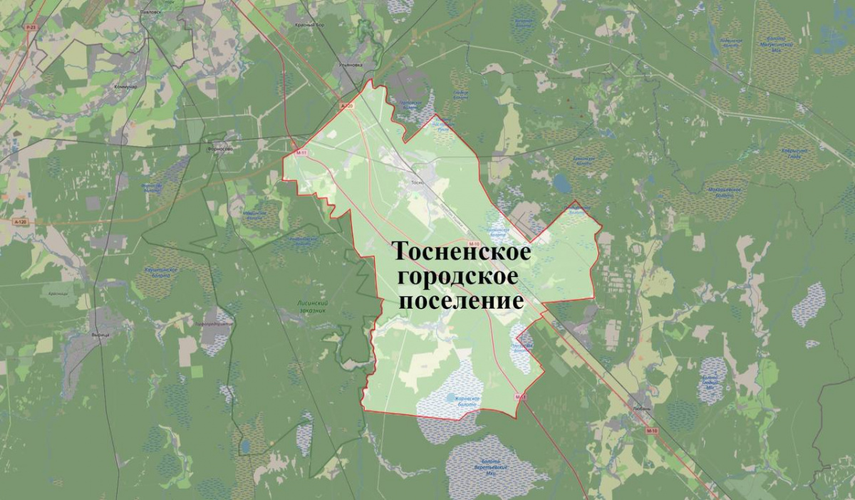 Уточнены ПЗЗ МО Тосненское городское поселение Тосненского района 