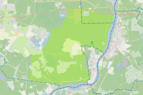 Утверждены изменения в СТП Ленинградской области в области организации, охраны и использования особо охраняемых природных территорий в части заказника «Приневский»