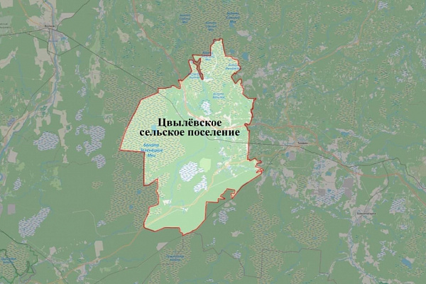 Уточнены ПЗЗ МО Цвылёвское сельское поселение Тихвинского района