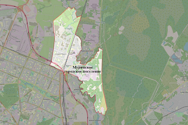 Внесены изменения в ПЗЗ МО Муринское городское поселение Всеволожского муниципального района