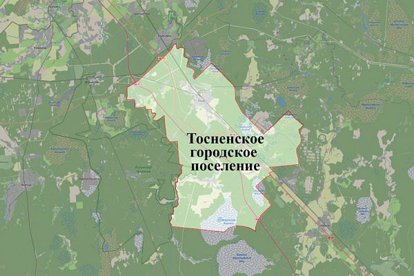 Уточнены ПЗЗ МО Тосненское городское поселение Тосненского района 